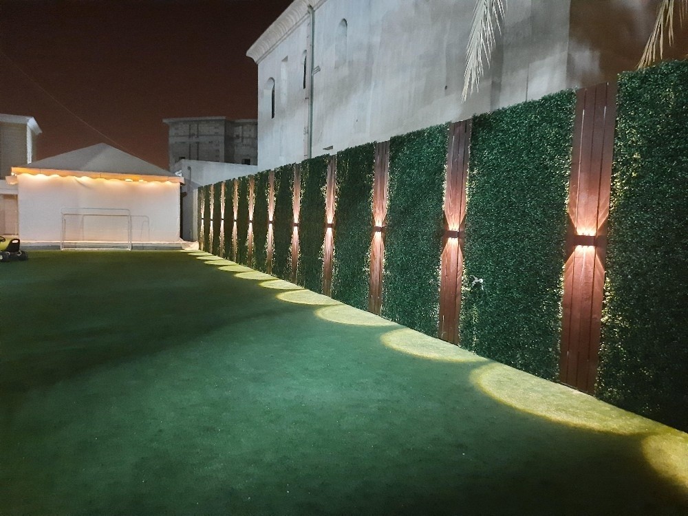 تصميم السجادة الخضراء - 5