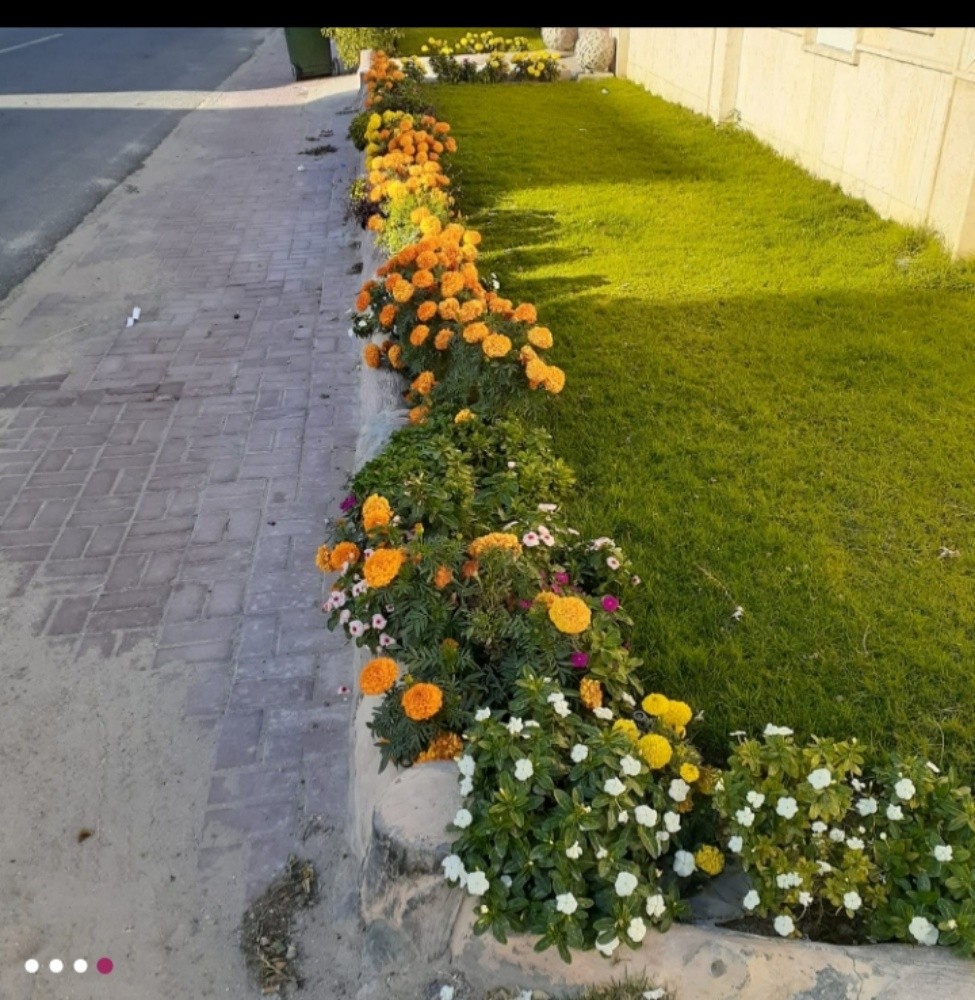 منسق حدائق - 2