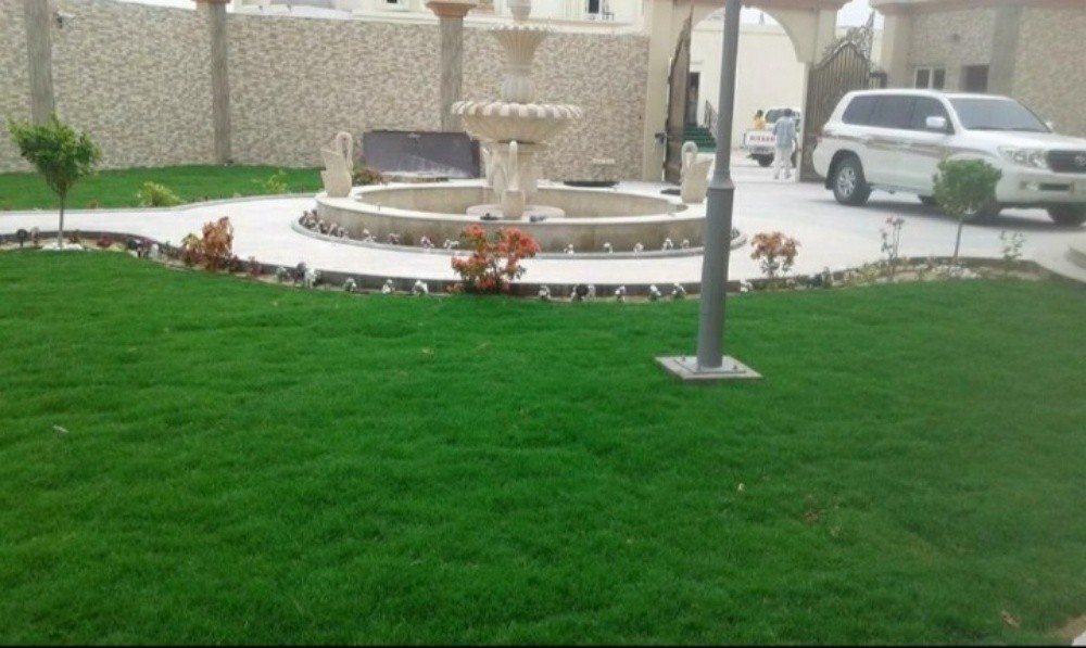 العنايه بالحديقة - 8