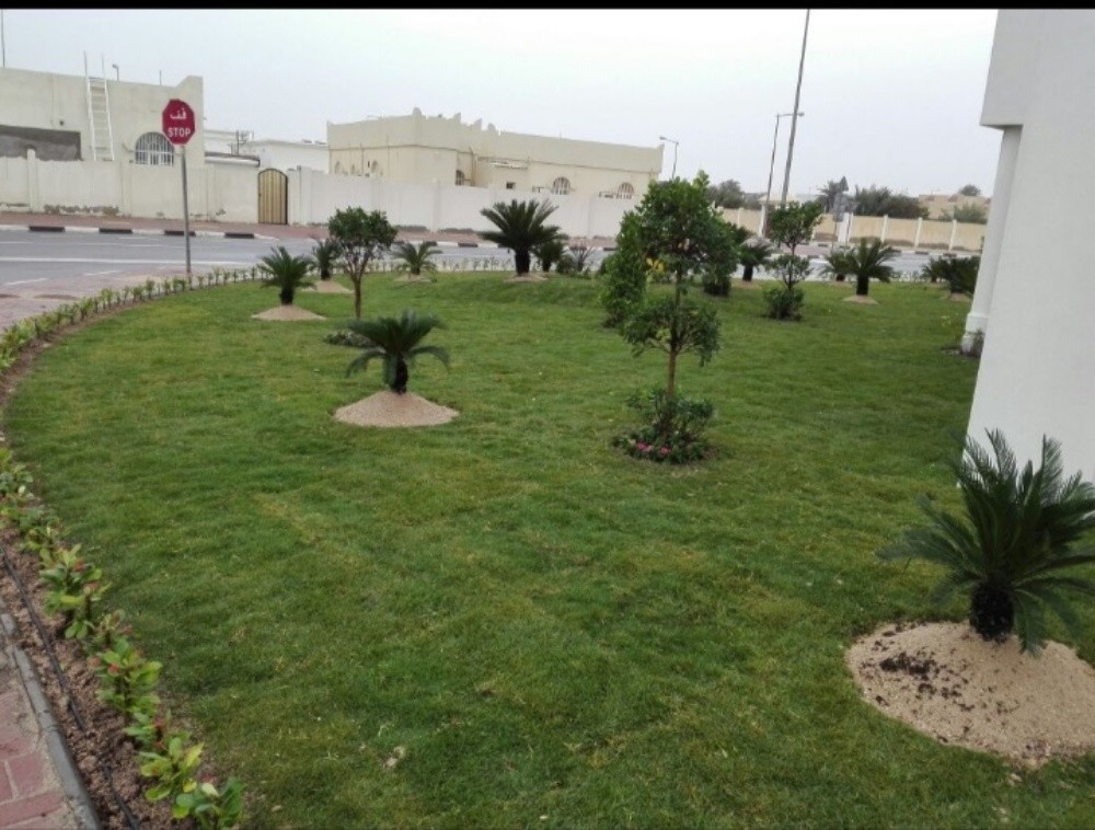 العنايه بالحديقة - 2
