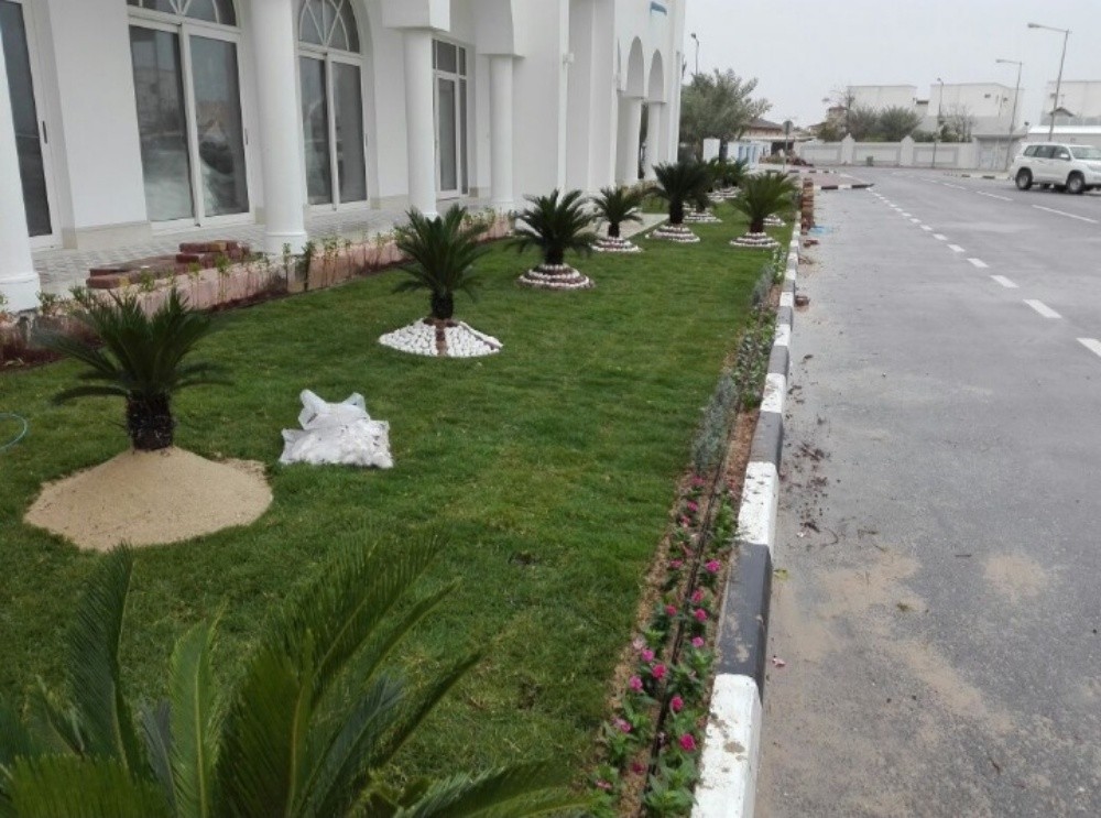 العنايه بالحديقة - 1