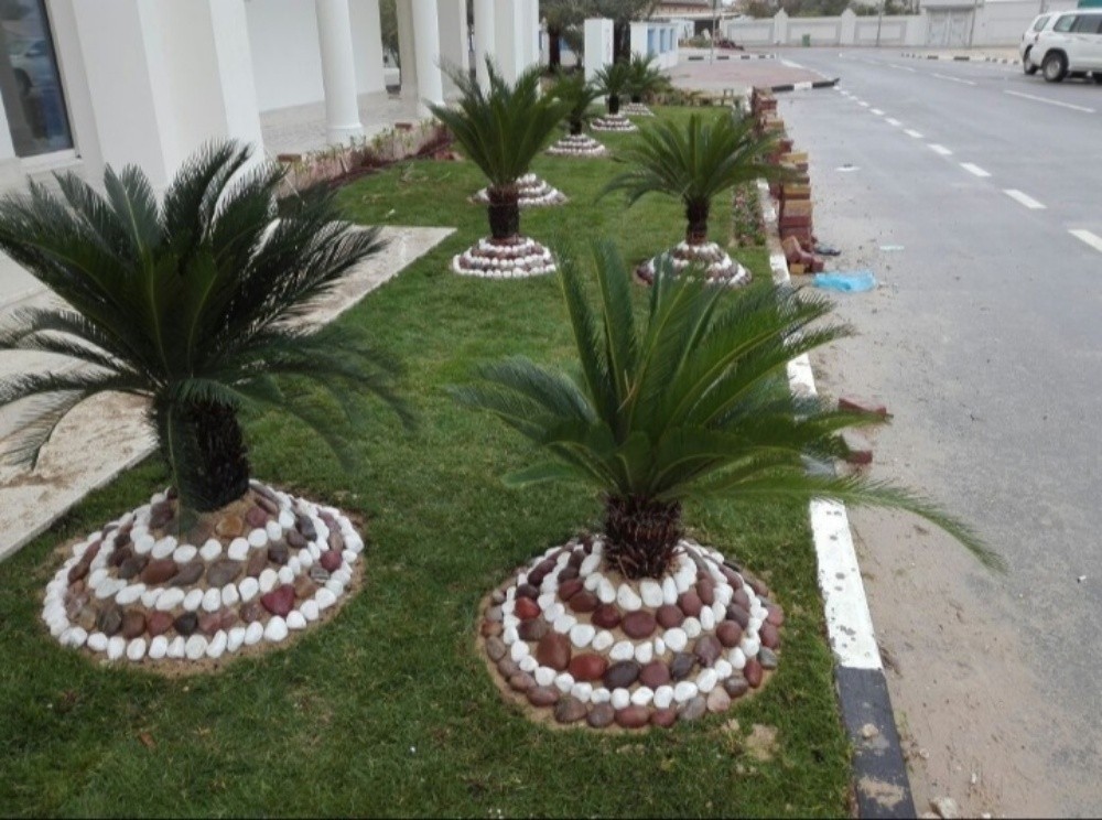 العنايه بالحديقة - 4