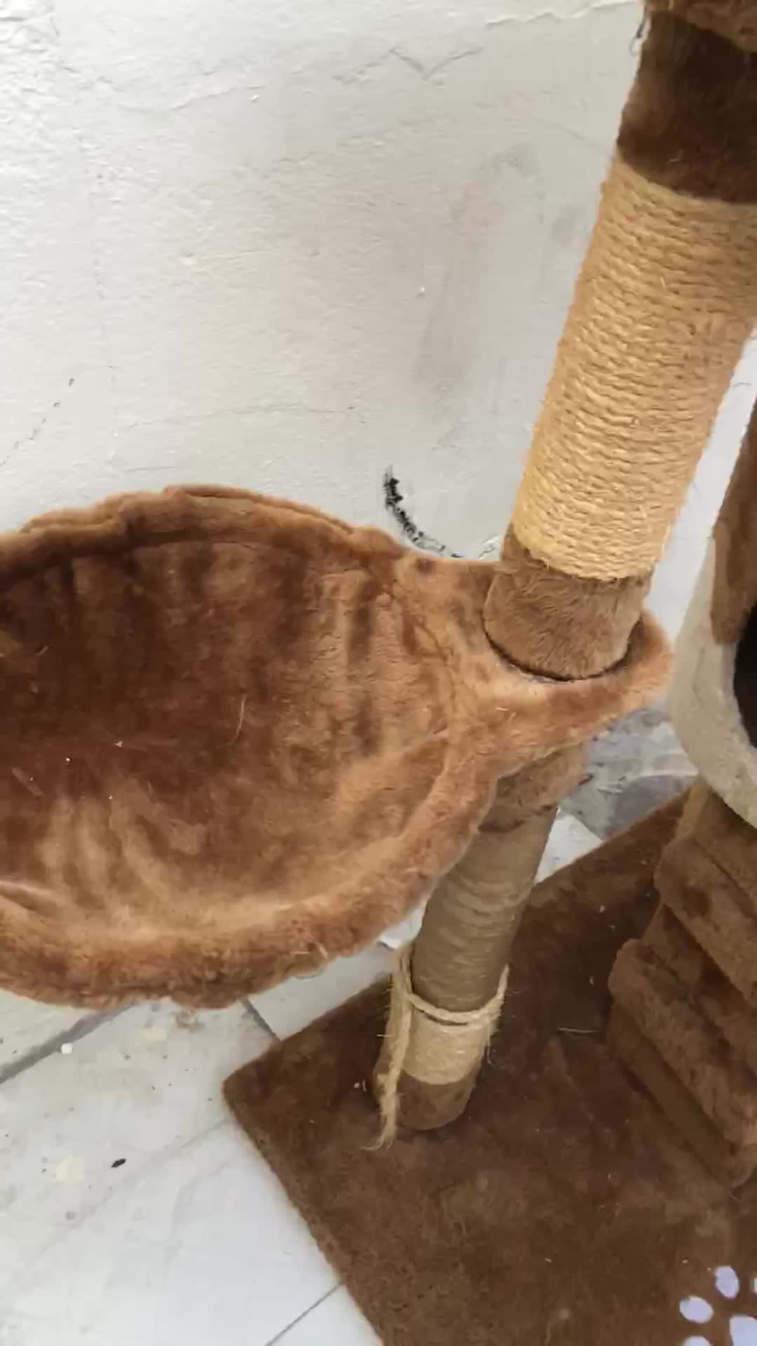 بيت للقطط   - 5
