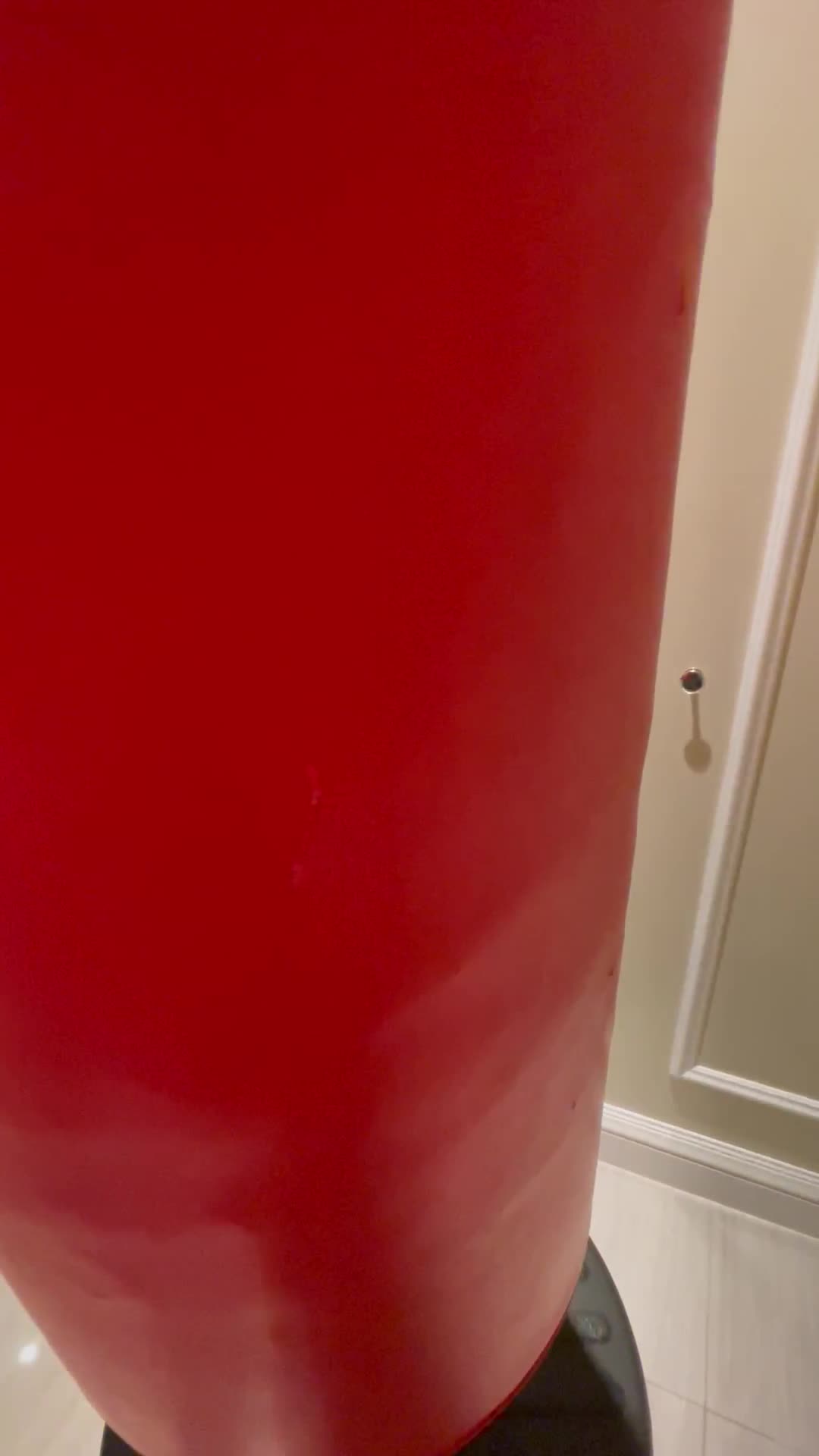 Punching Bag - 4