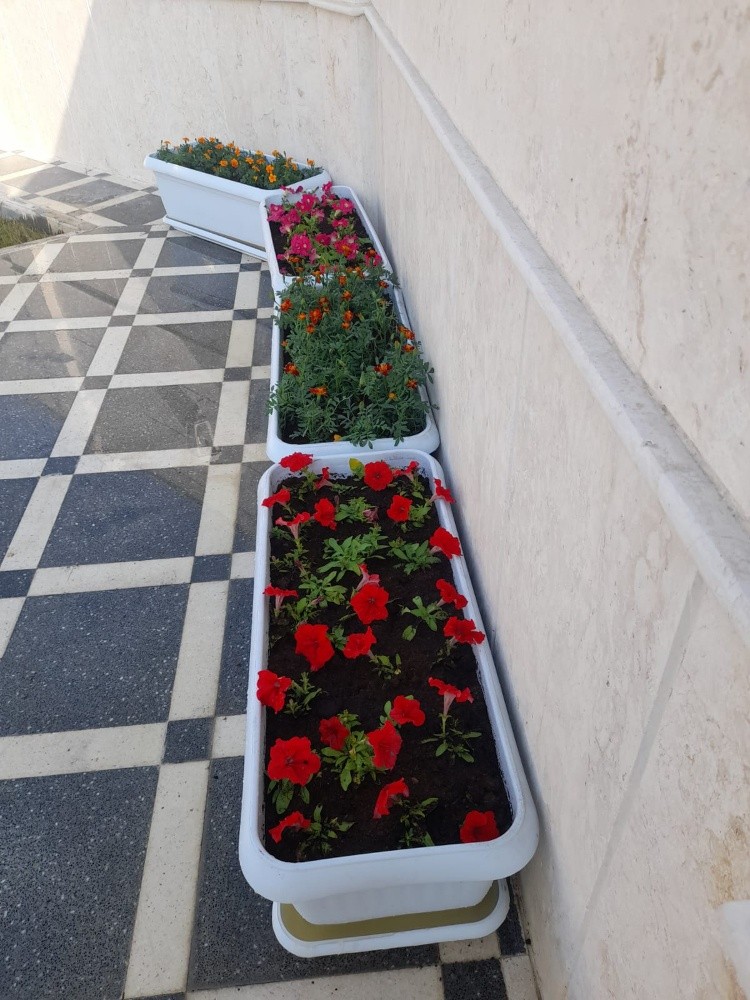 زرااع - 2