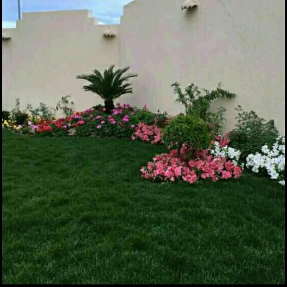 منسق حدائق - 7