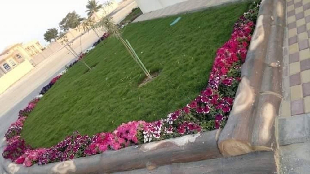 منسق حدائق - 6