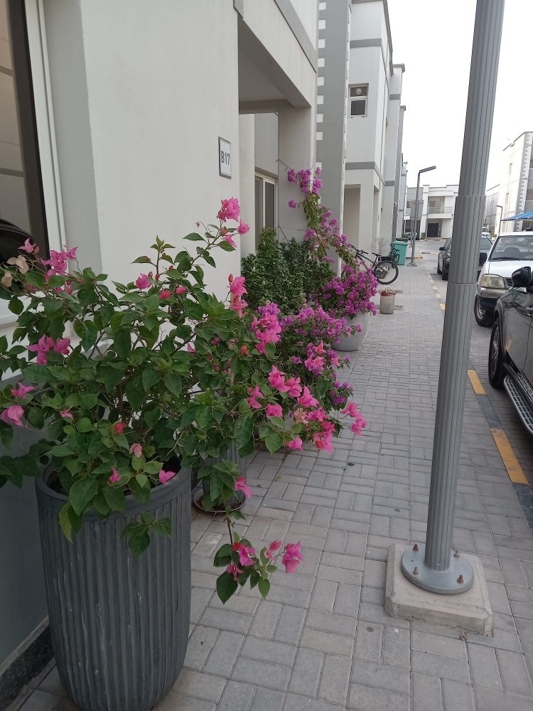 مزارع ومنسق - 4