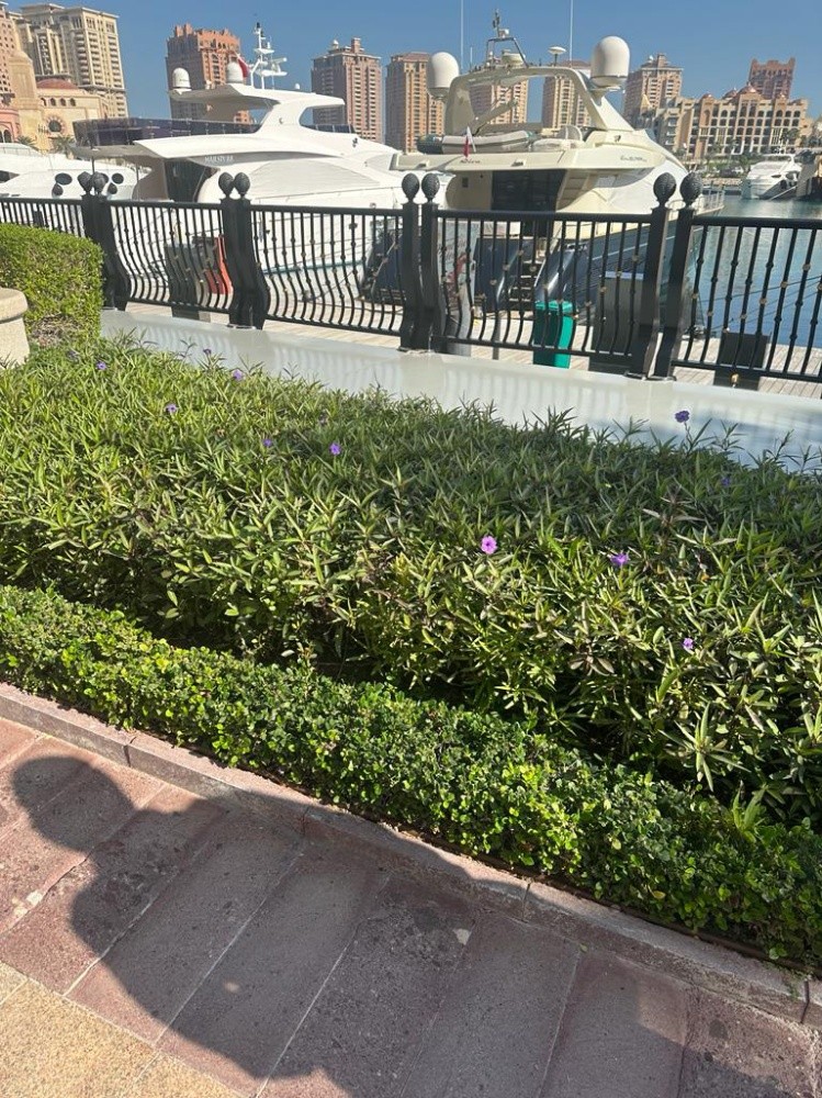 مزارع ومنسق - 5