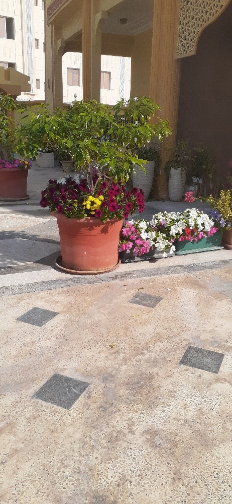 مزارع ومنسق حدائق - 4