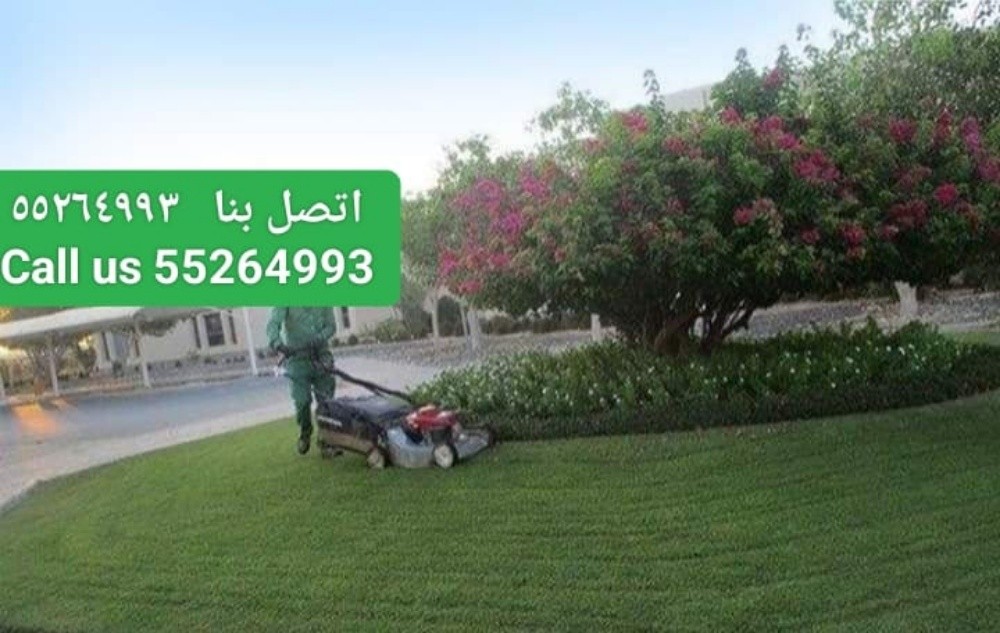 Shakeel Ahmad Ansari - 1