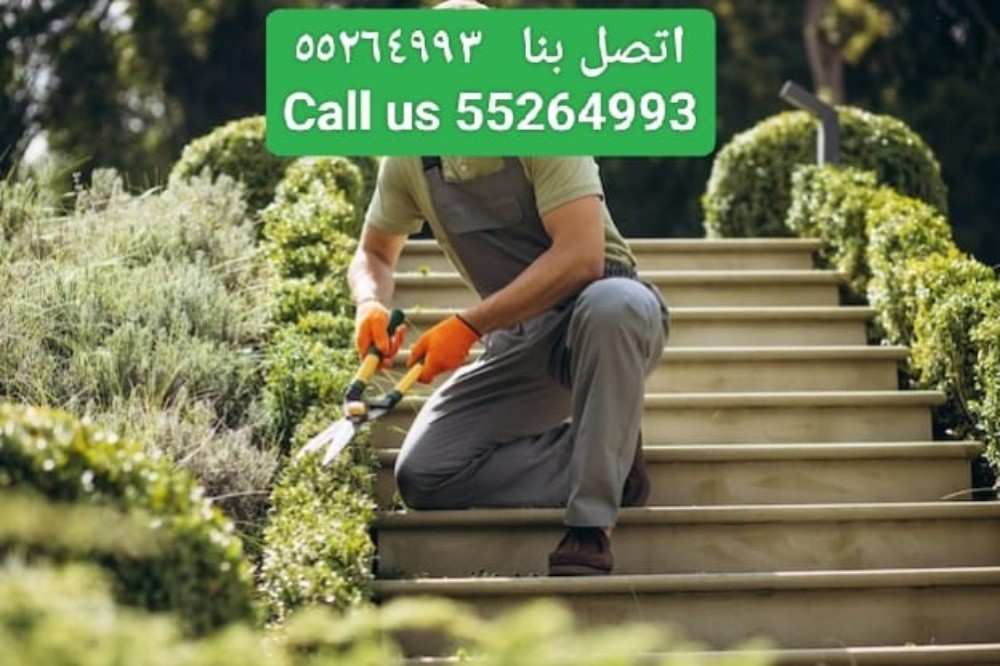 Shakeel Ahmad Ansari - 3