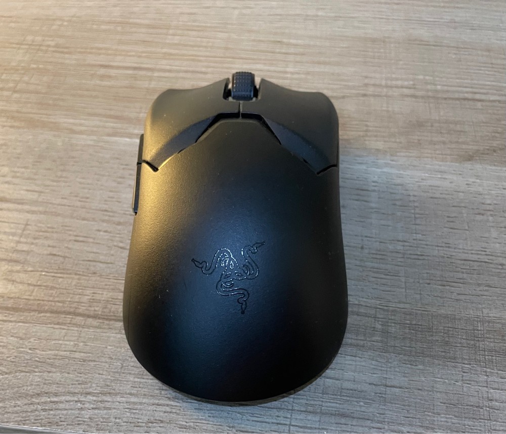 mouse - 1