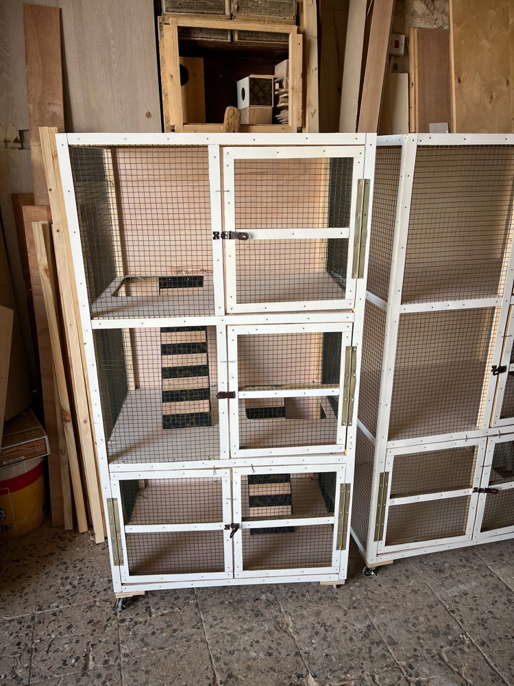 cat cages - 1