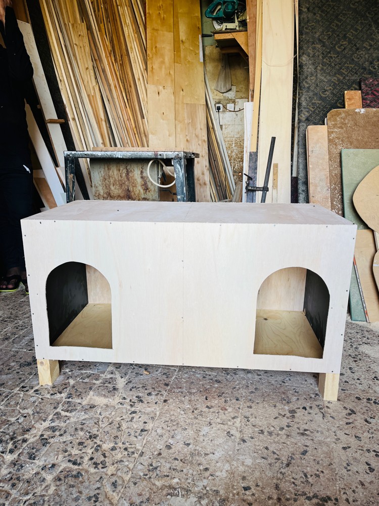 cat cages - 2
