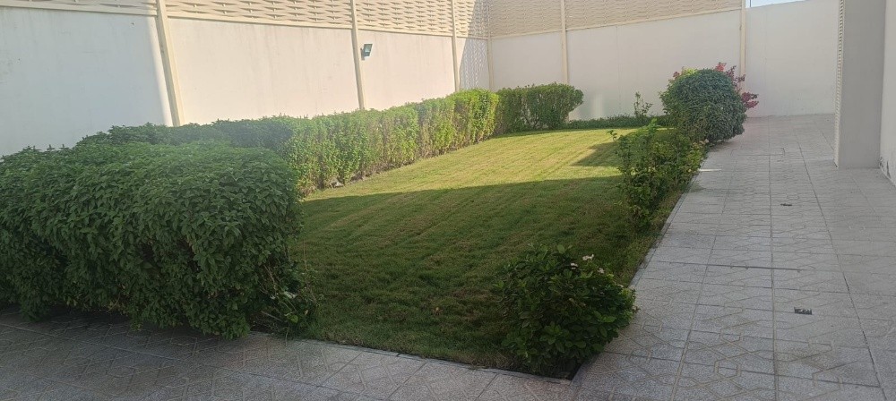 زرع طبيعي - 1