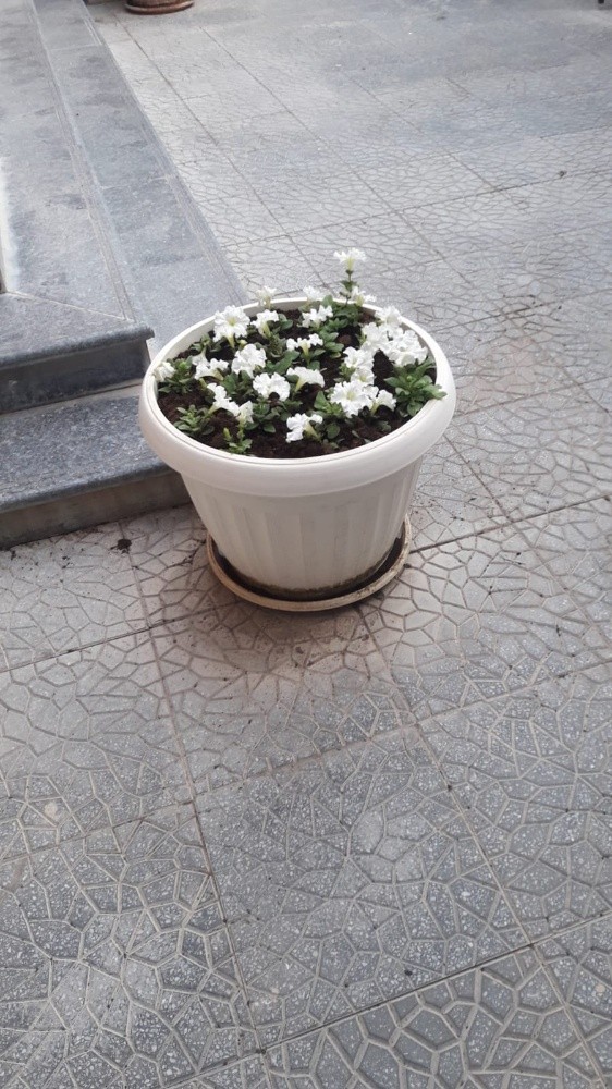 متخصص زراعي - 6