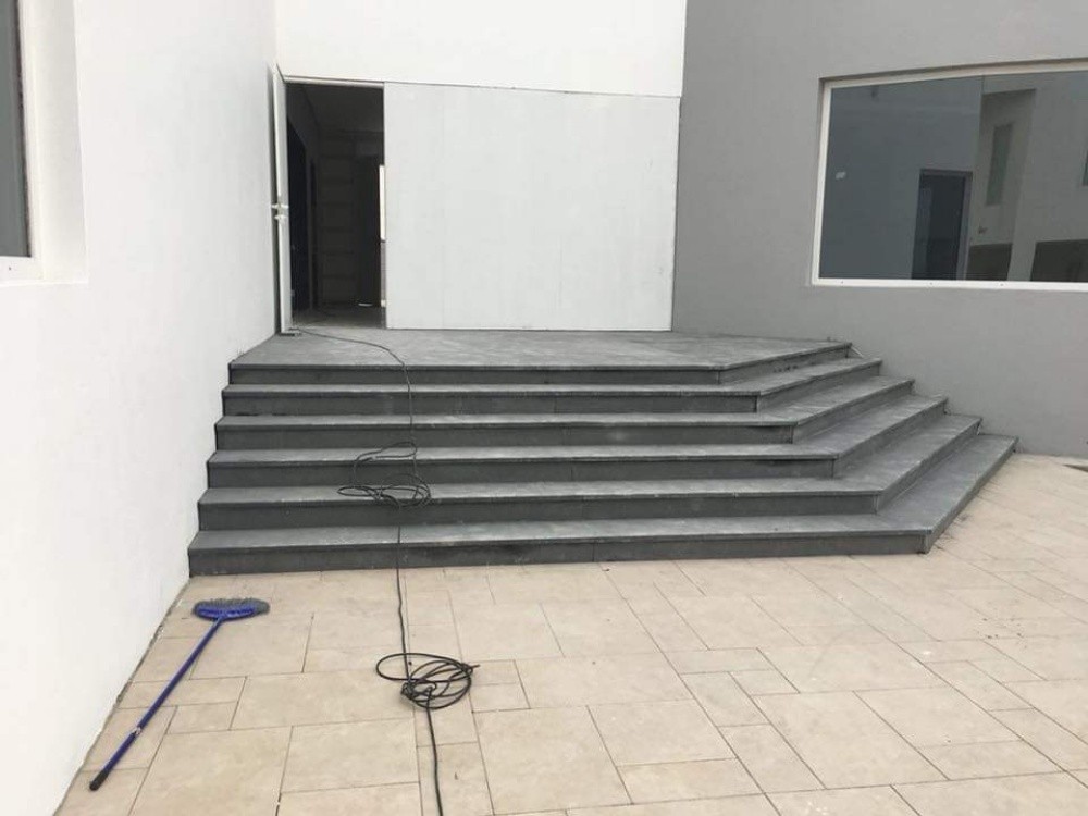 دراج - 10
