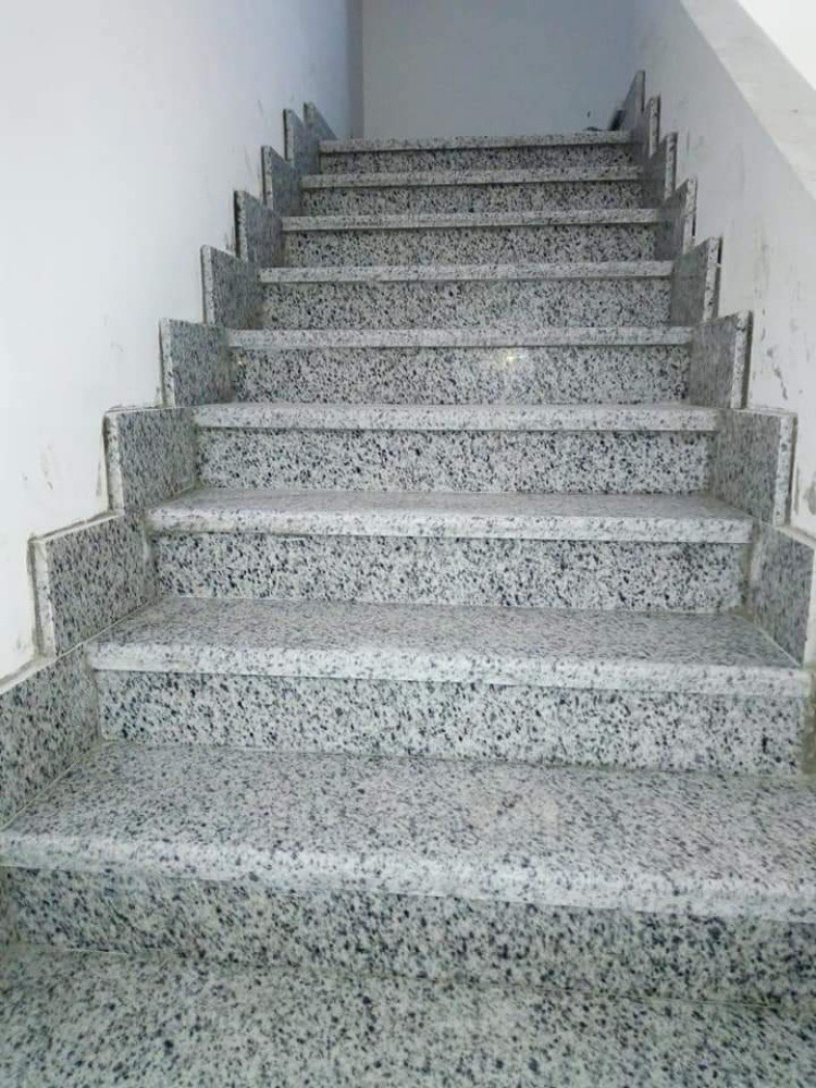 دراج - 4