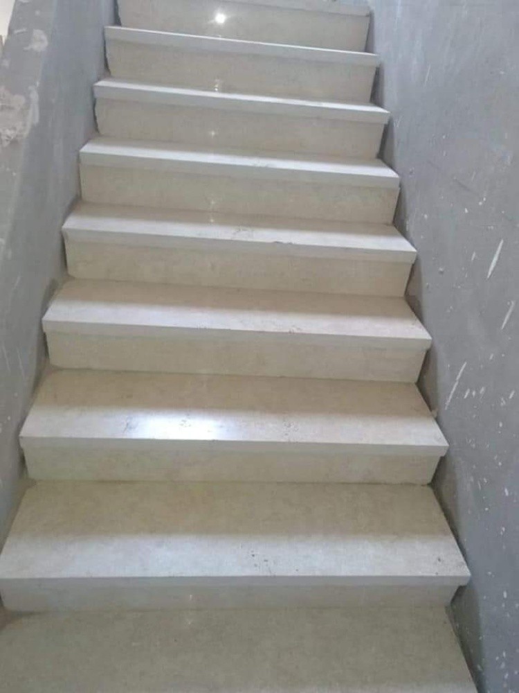 دراج - 5