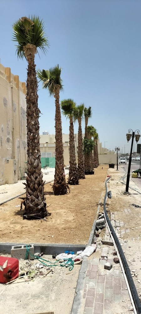 تنسيق حدايق وتنفيذ شبكات وتركيب - 14