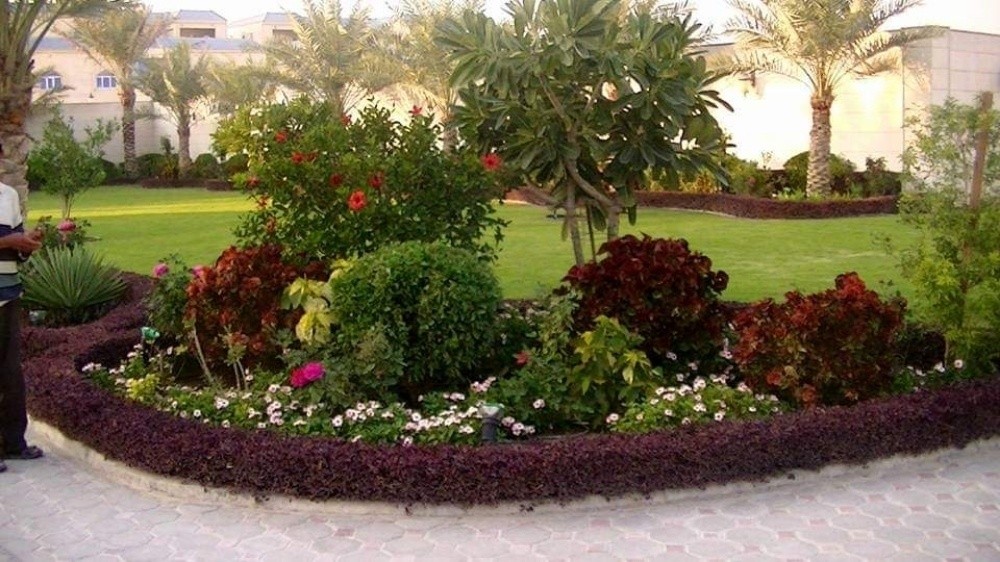 تنسيق حدايق وتنفيذ شبكات وتركيب - 5