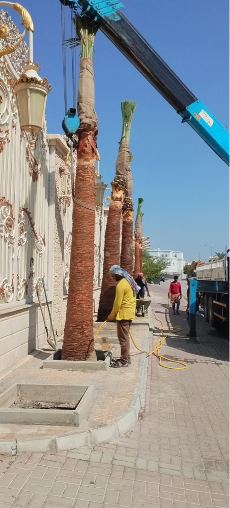 تقريب وتنظيف  - 2