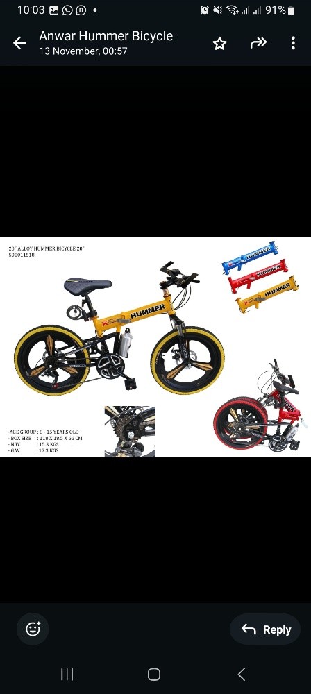 Foldable & Unfoldable Bicycles - 1