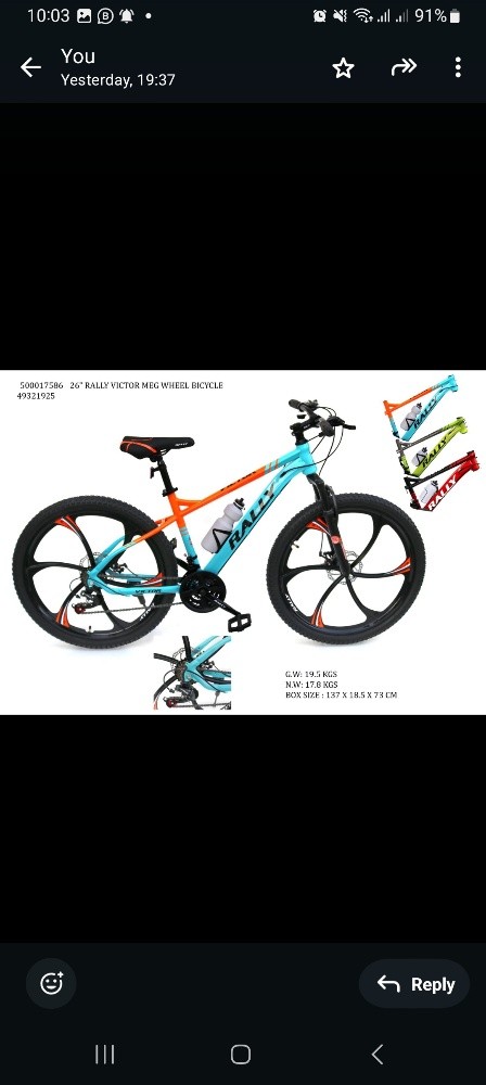 Foldable & Unfoldable Bicycles - 7