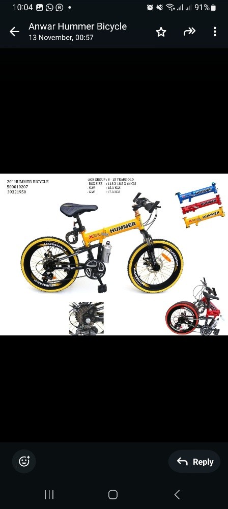 Foldable & Unfoldable Bicycles - 2