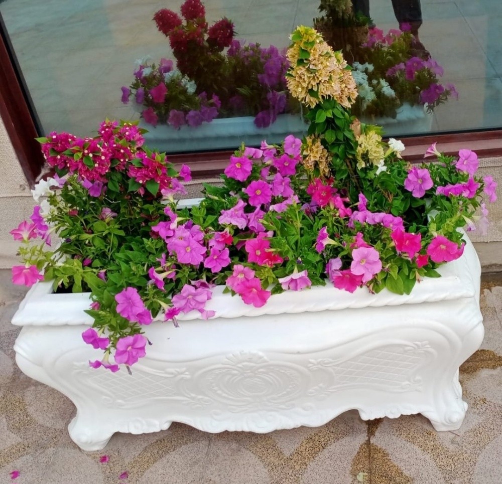 شركة زراعيه - 3