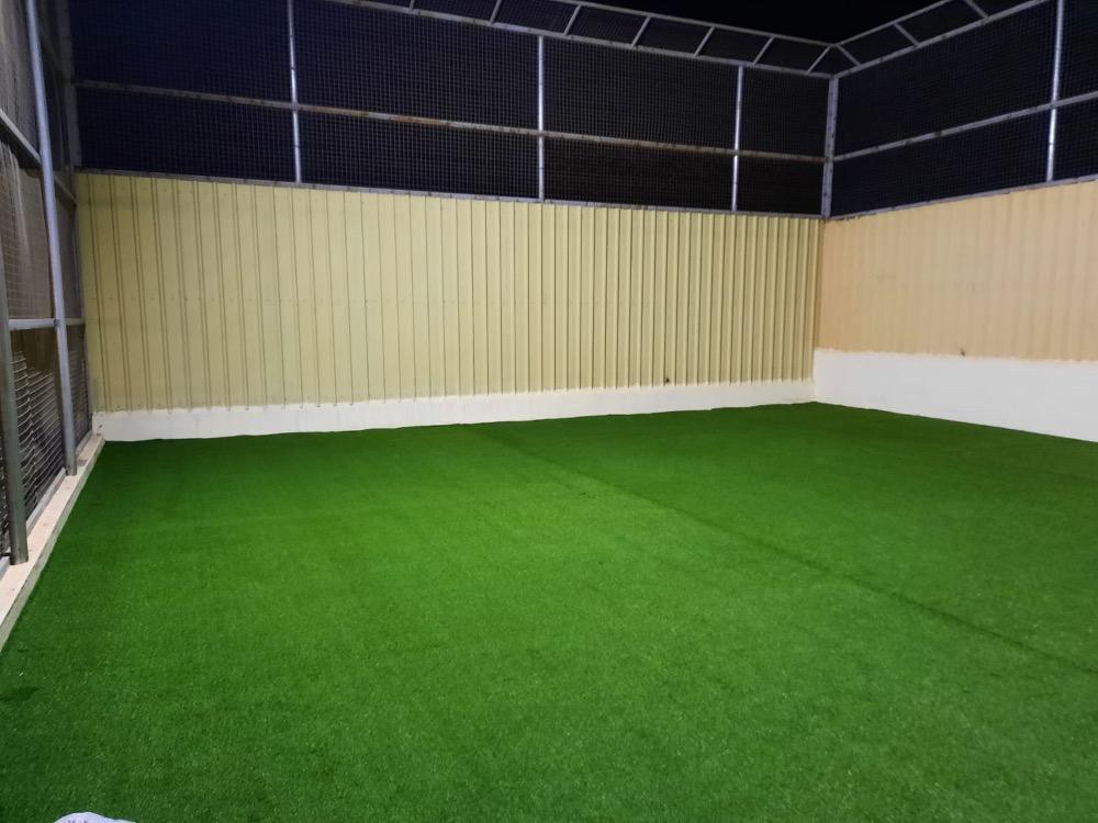 Artificial grass carpet - 5