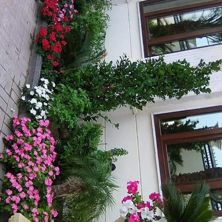 مهندس لاند سكيب وتصميم الحدائق  - 8