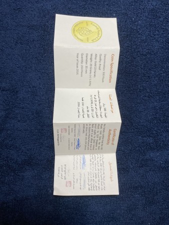 Al Jazeera year 20 Gold coin - 15