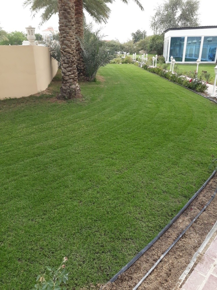 زراعه وديكور وتنسق حدائق - 3