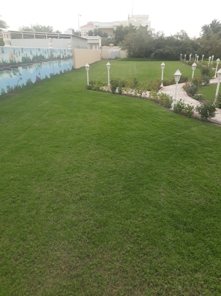 زراعه وديكور وتنسق حدائق - 2