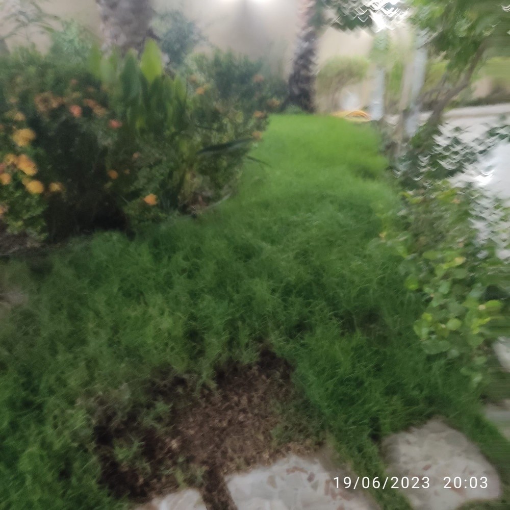 مزارع ومنسق حدائق - 8