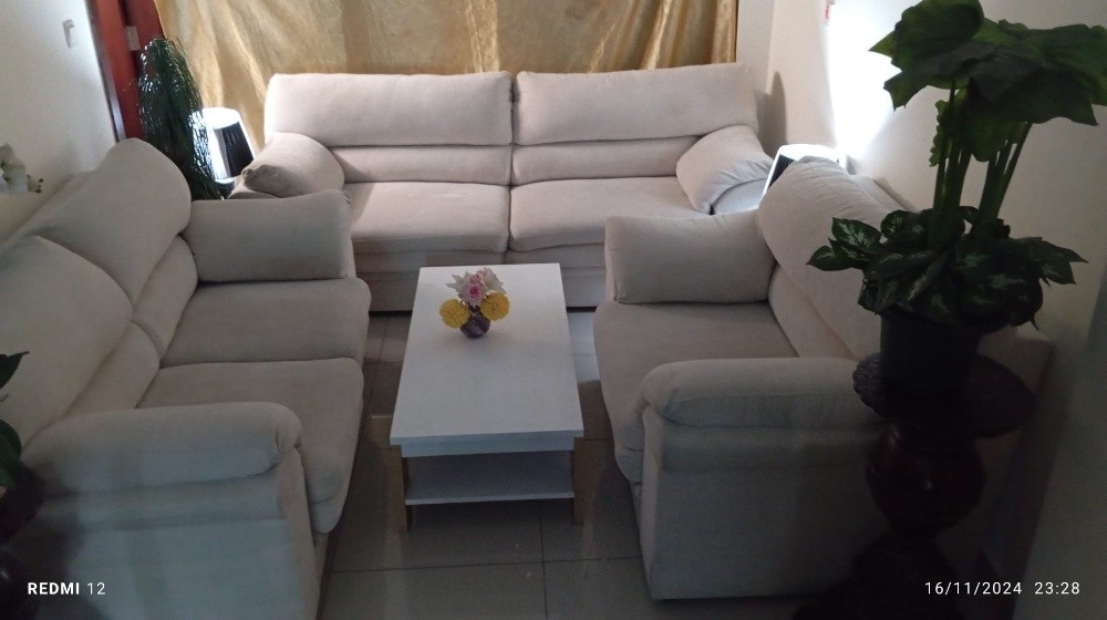 All type Shofa for sale call - 6