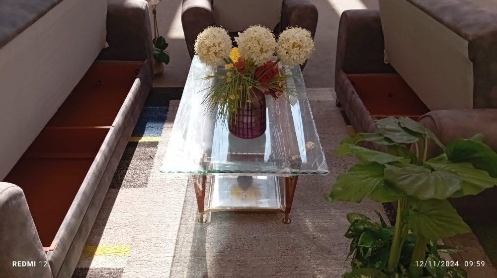 All type Shofa for sale call - 12