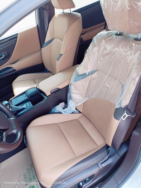 LEXUS ES300H - 12