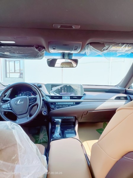 LEXUS ES300H - 10