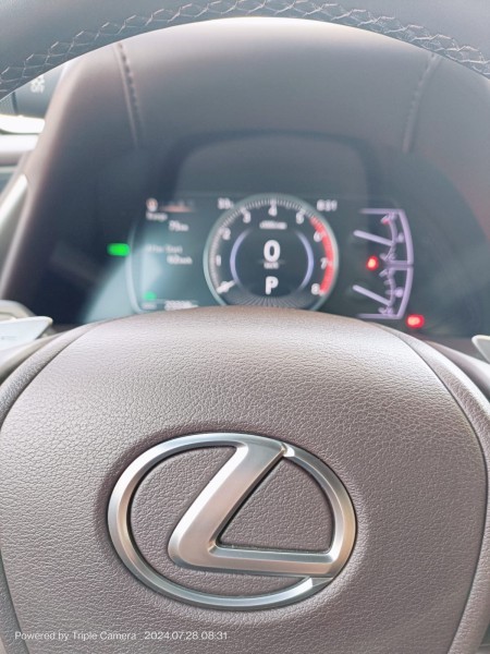 LEXUS ES300H - 6