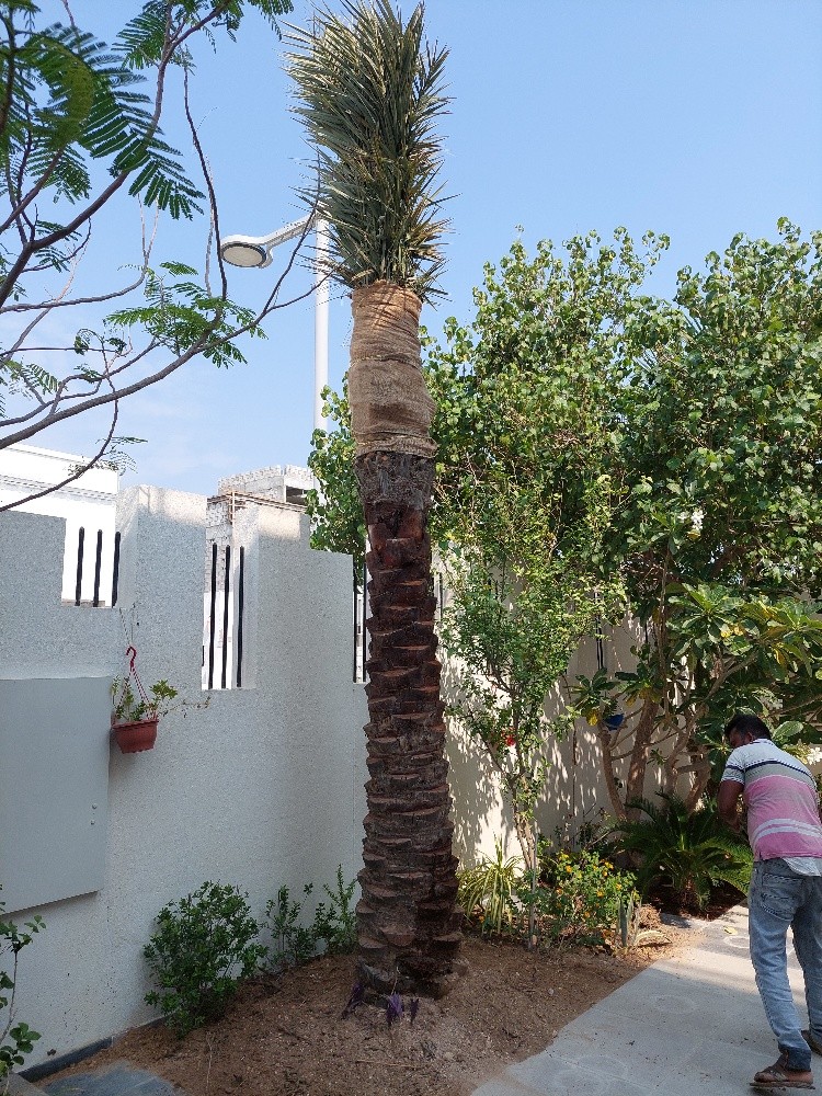 شركة زراعيه - 2