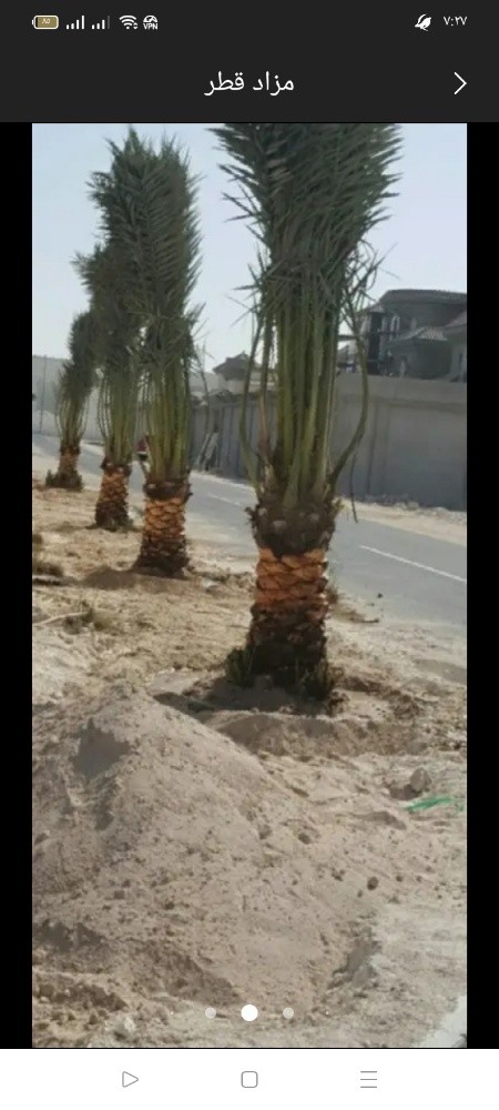 شركة زراعيه - 3