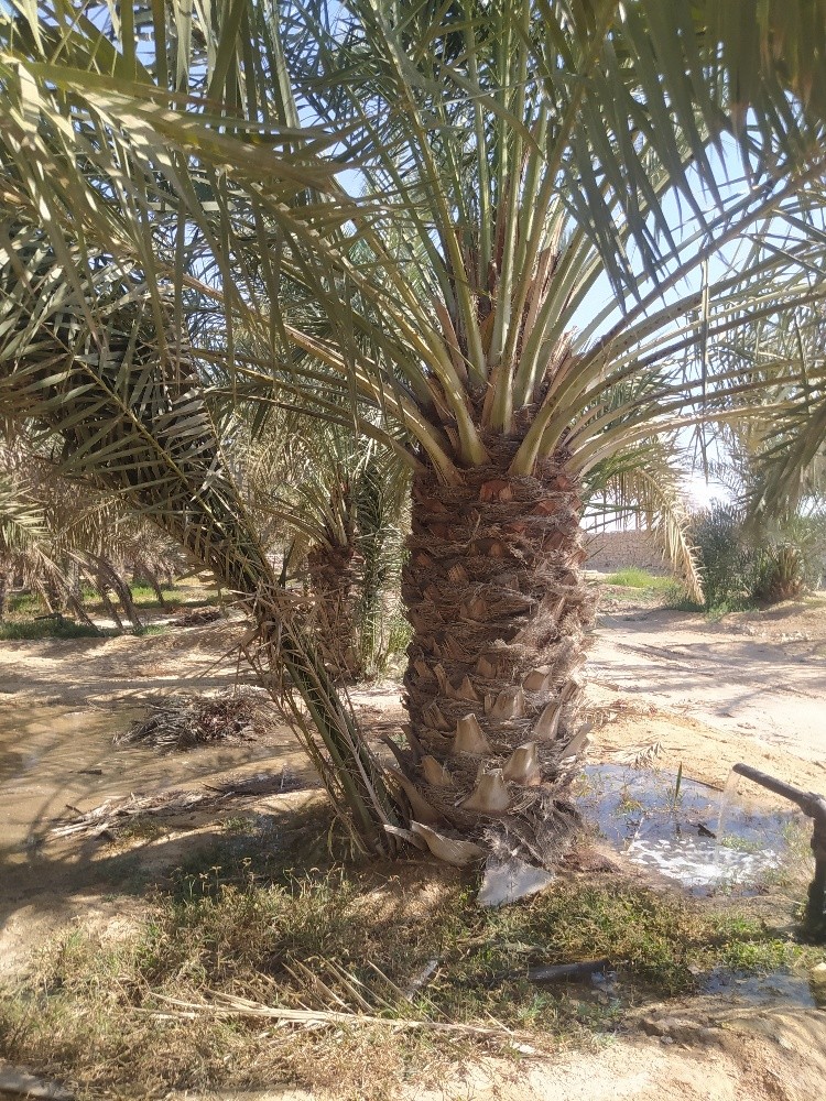 مهندس - 4