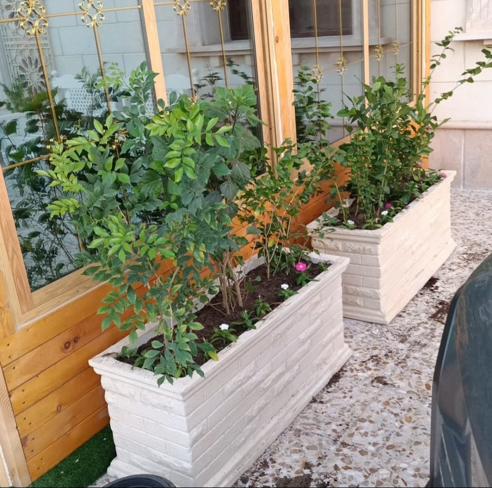 شركة زراعيه - 3