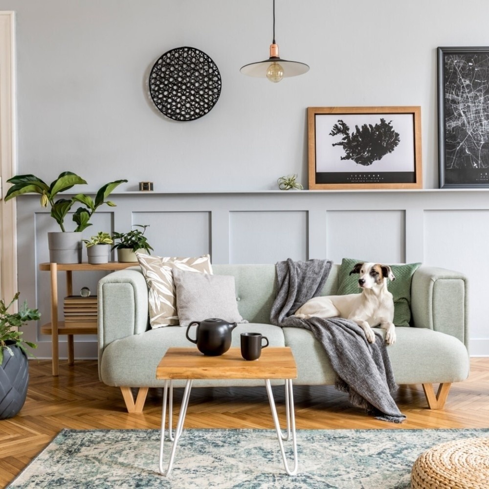 sofa set new - 8