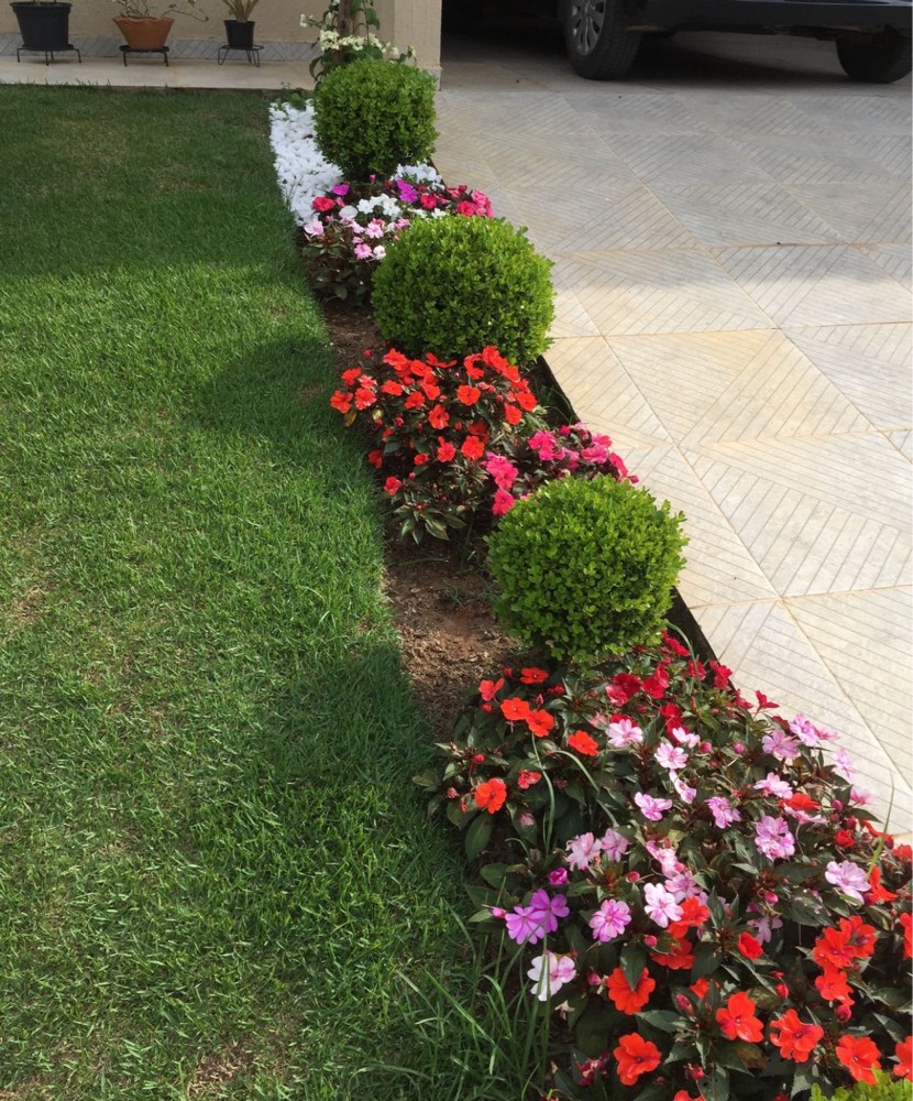 ديكور حدائق - 3