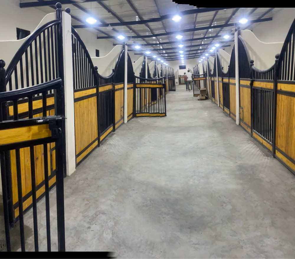 تاسيس وتصميم اسطبلات الخيل - 13
