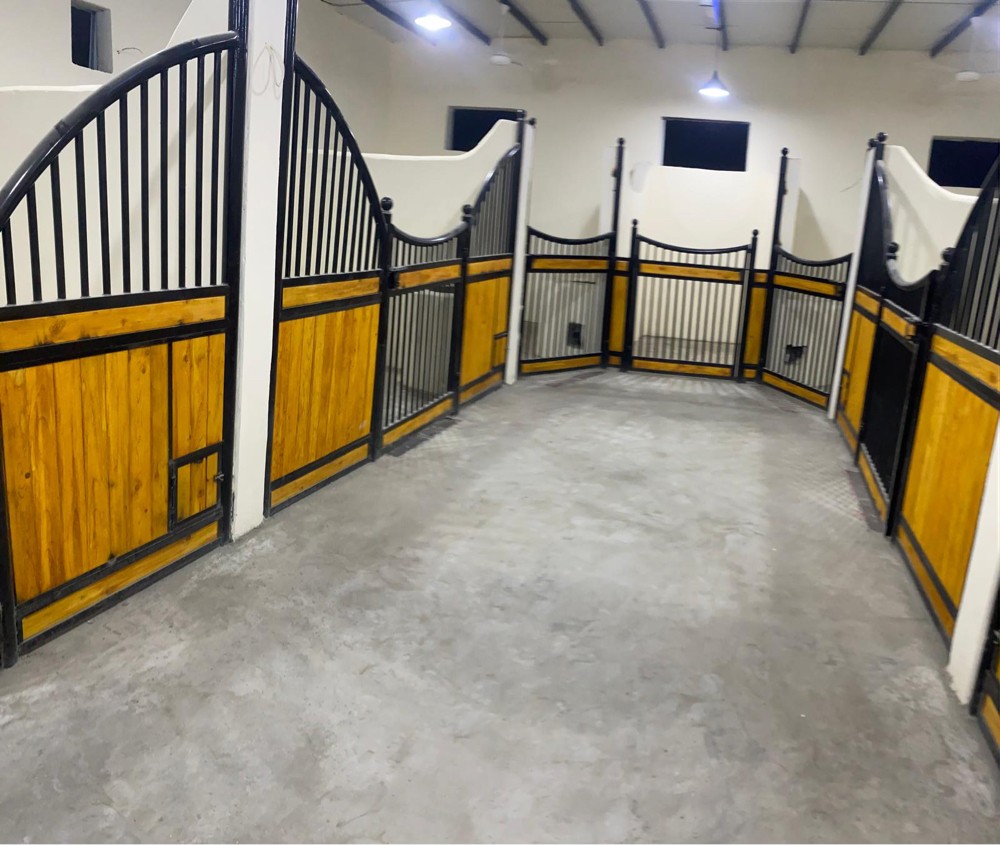 تاسيس وتصميم اسطبلات الخيل - 11